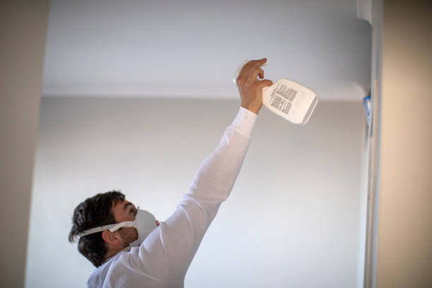 Best Emergency Mold Removal  in Sackets Harbor, NY